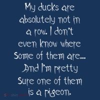 My Ducks Are Absolutely Not In A Row Pigeon T-Shirt thumb 7