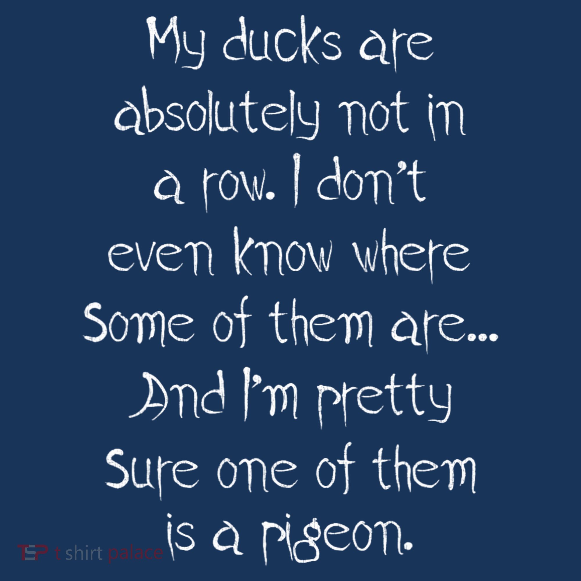 My Ducks Are Absolutely Not In A Row Pigeon Kids Sweatshirt