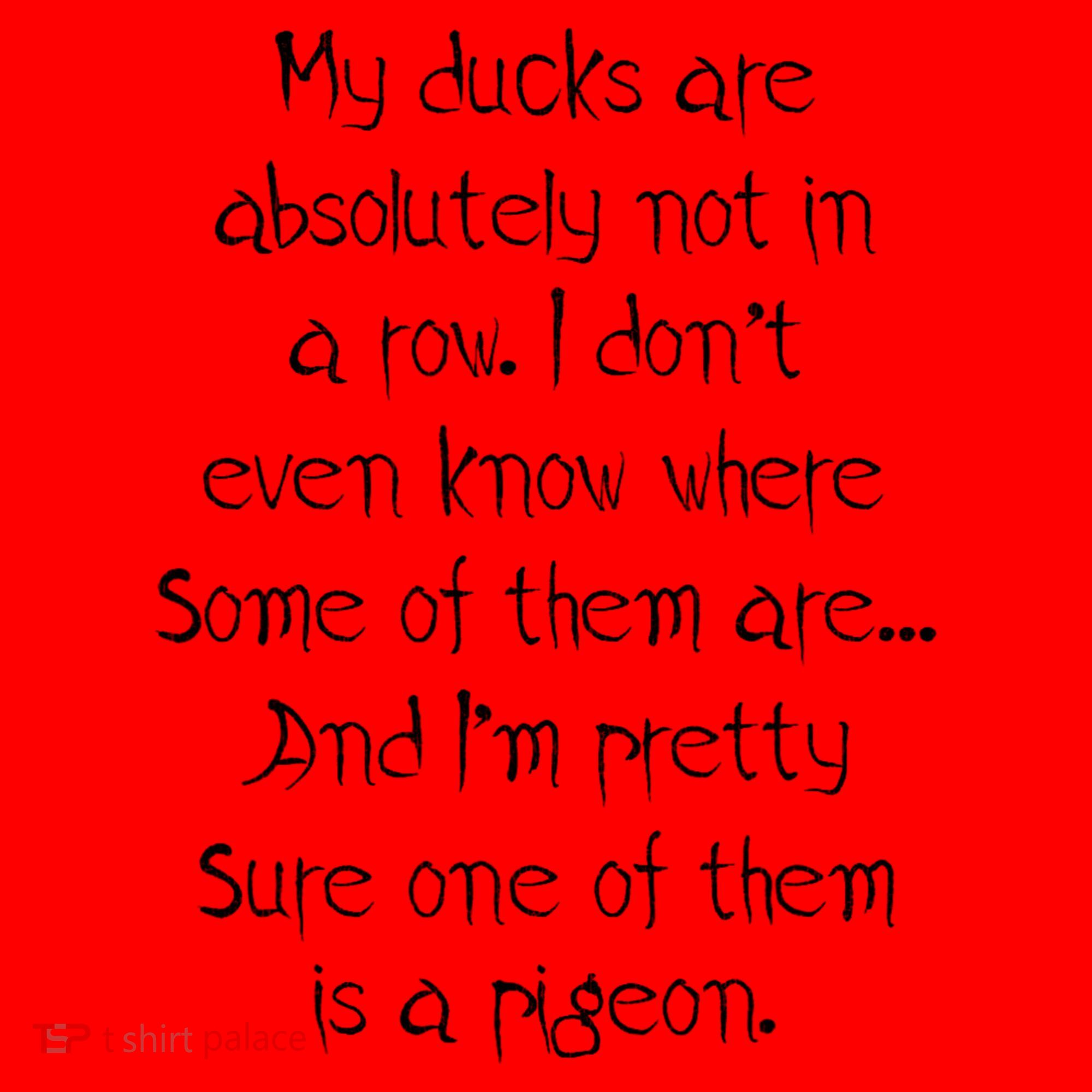 My Ducks Are Absolutely Not In A Row Pigeon Santa Hat