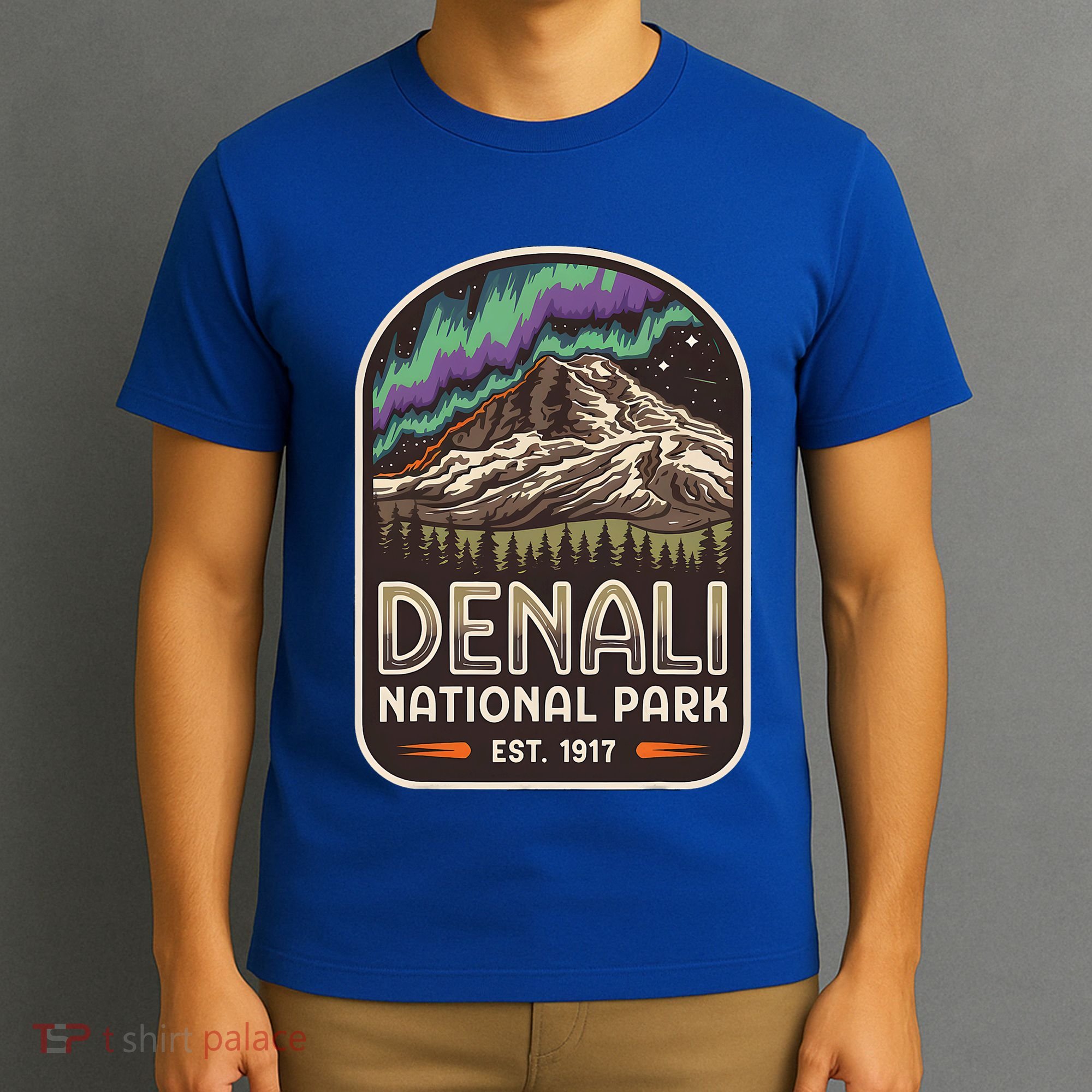 Mount Denali Alaska Mountain Denali National Park T-Shirt