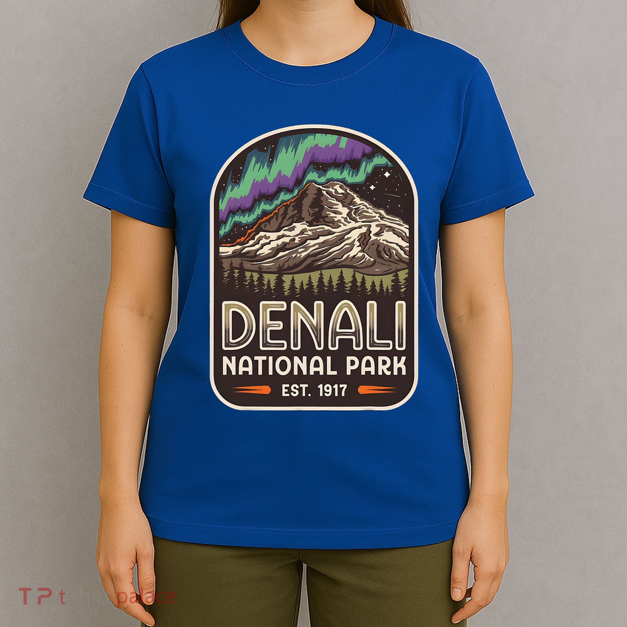 Mount Denali Alaska Mountain Denali National Park T-Shirt