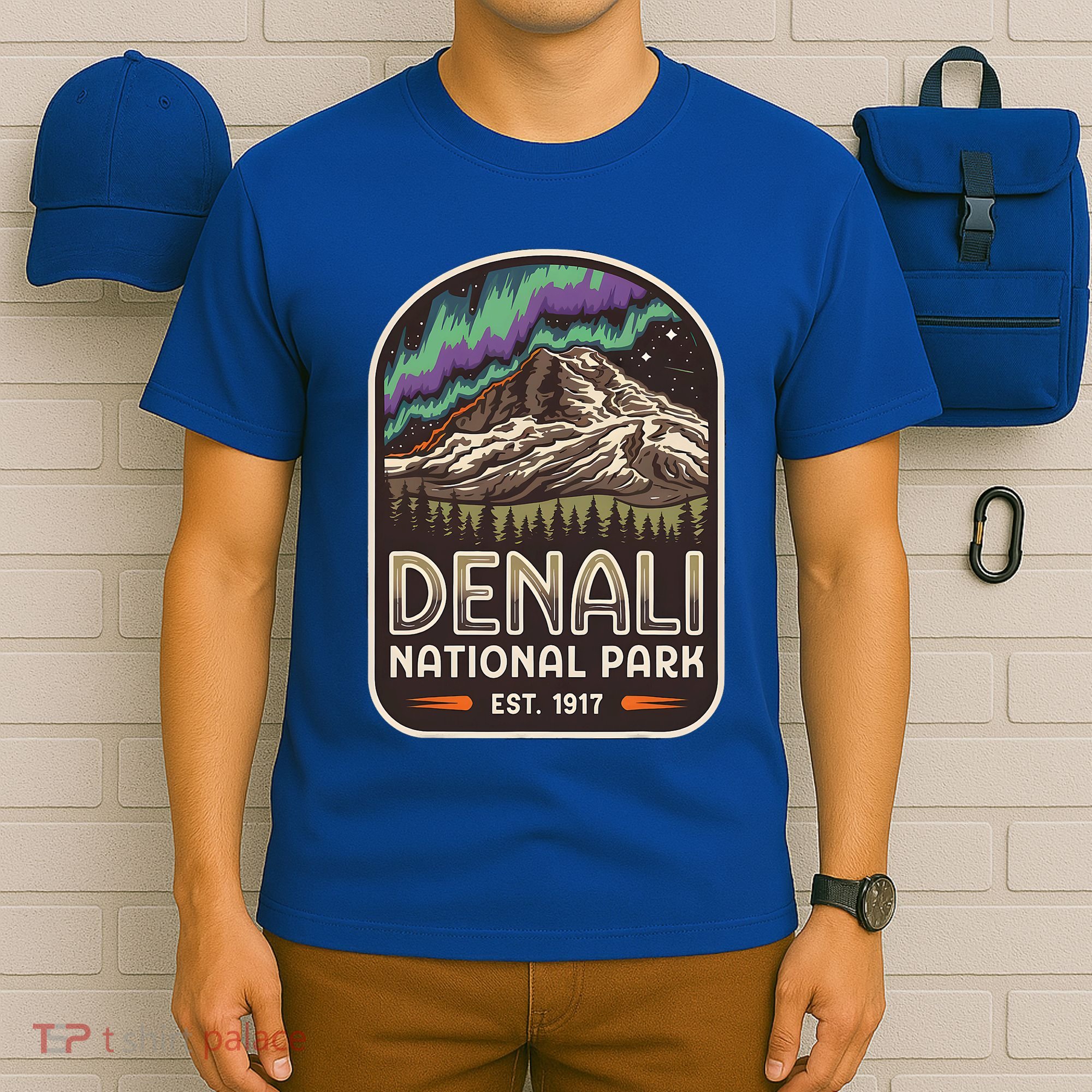 Mount Denali Alaska Mountain Denali National Park T-Shirt