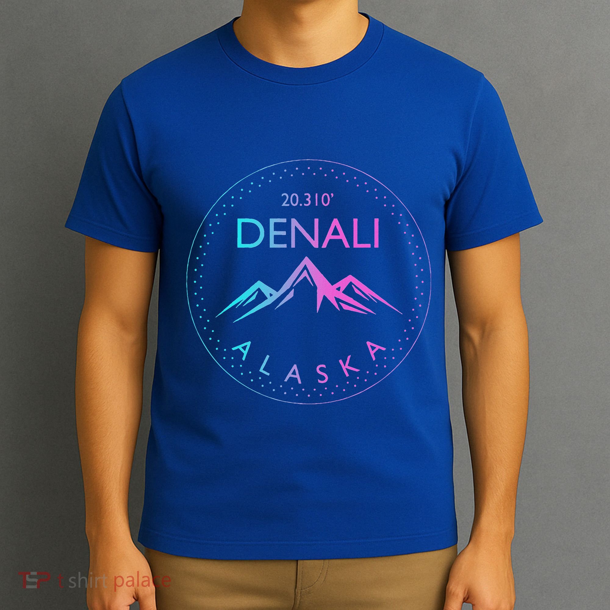 Mount Denali Alaska Mountaineer Climbing National Park T-Shirt