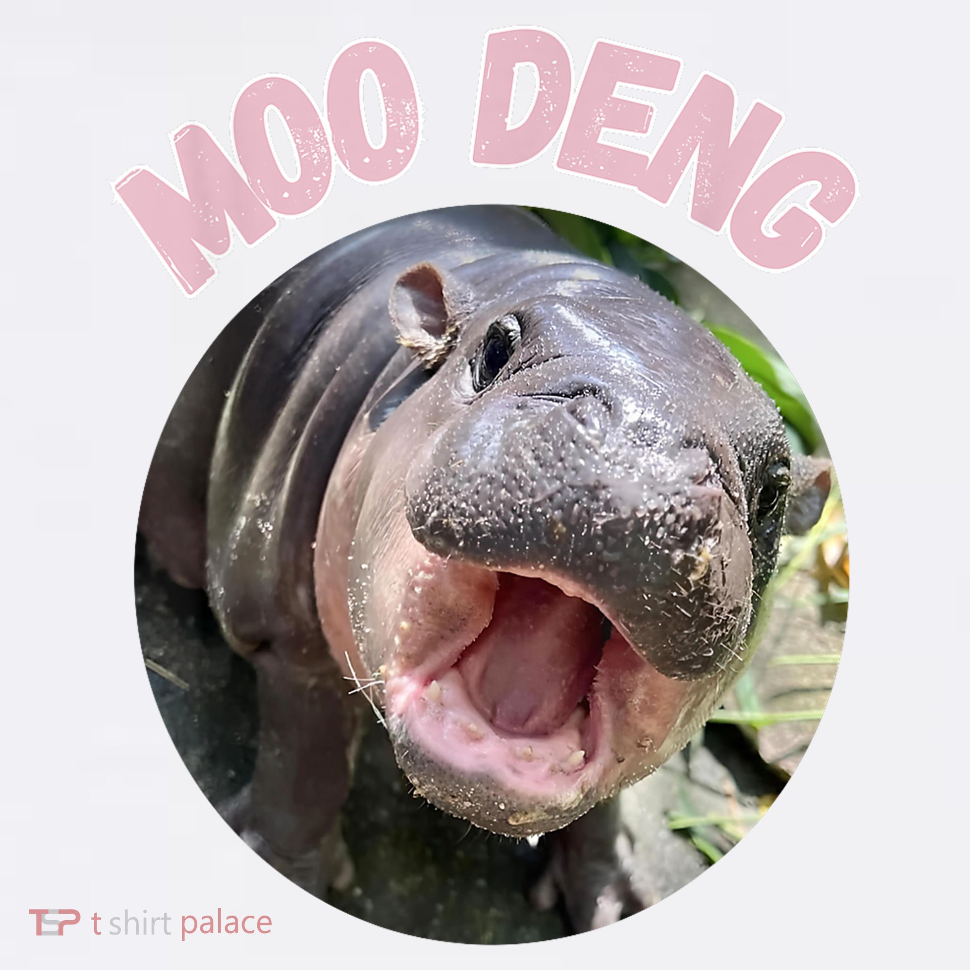 Moo Deng Bouncy Pig In Thai Picture The Cute Baby Hippo Gift Women's Hoodie