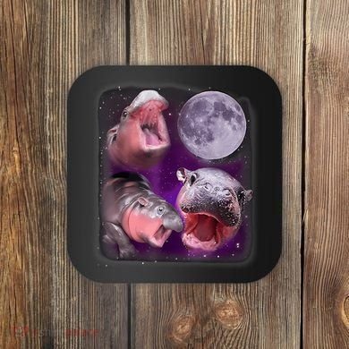 Moo Deng Bouncy Pig In Thai Picture Howling Under The Moon Coaster