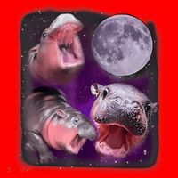 Moo Deng Bouncy Pig In Thai Picture Howling Under The Moon Santa Hat thumb 1