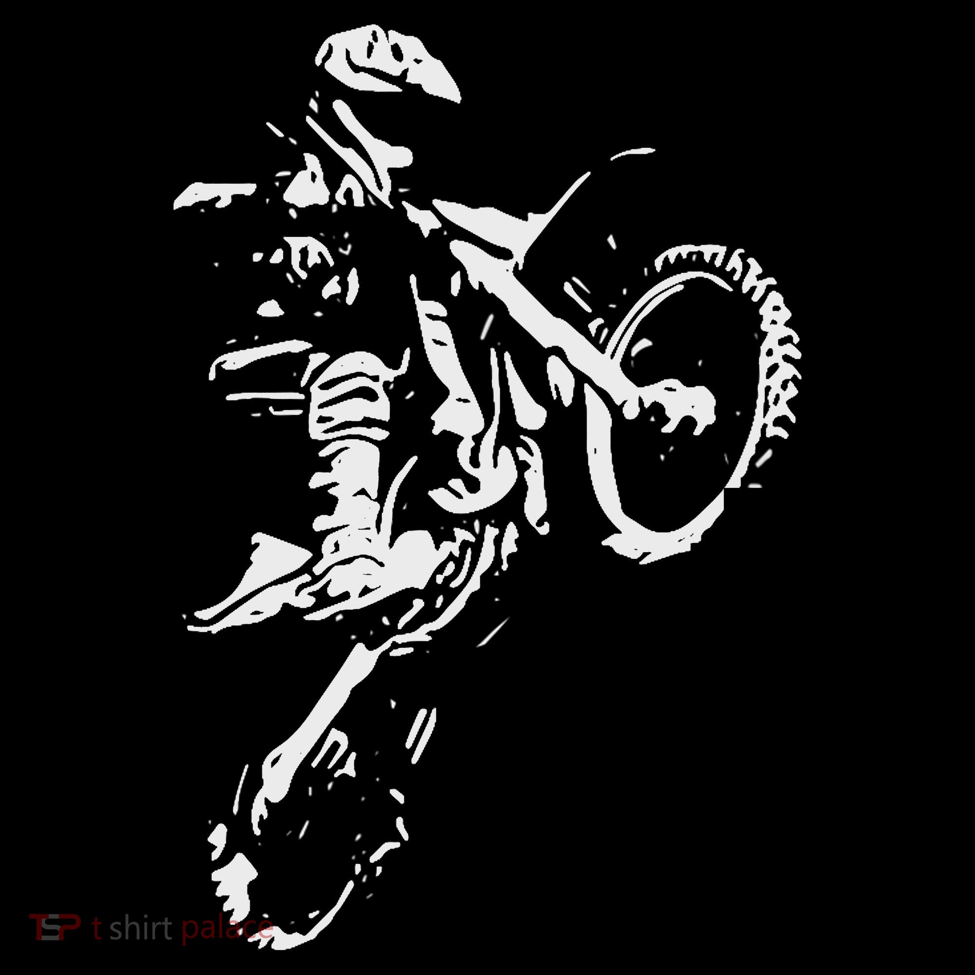 Motocross Dirt Bike Coaster