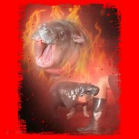 Moo Deng Bouncy Pig In Thai Fire Picture The Cute Baby Hippo Santa Hat thumb 1