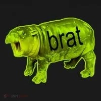Moo Deng Brat Cute Baby Hippo Ornament thumb 1