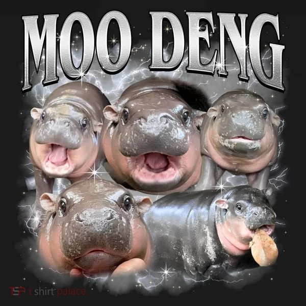 Moo Deng Cute Funny Hippo Women's Long Sleeve Shirt