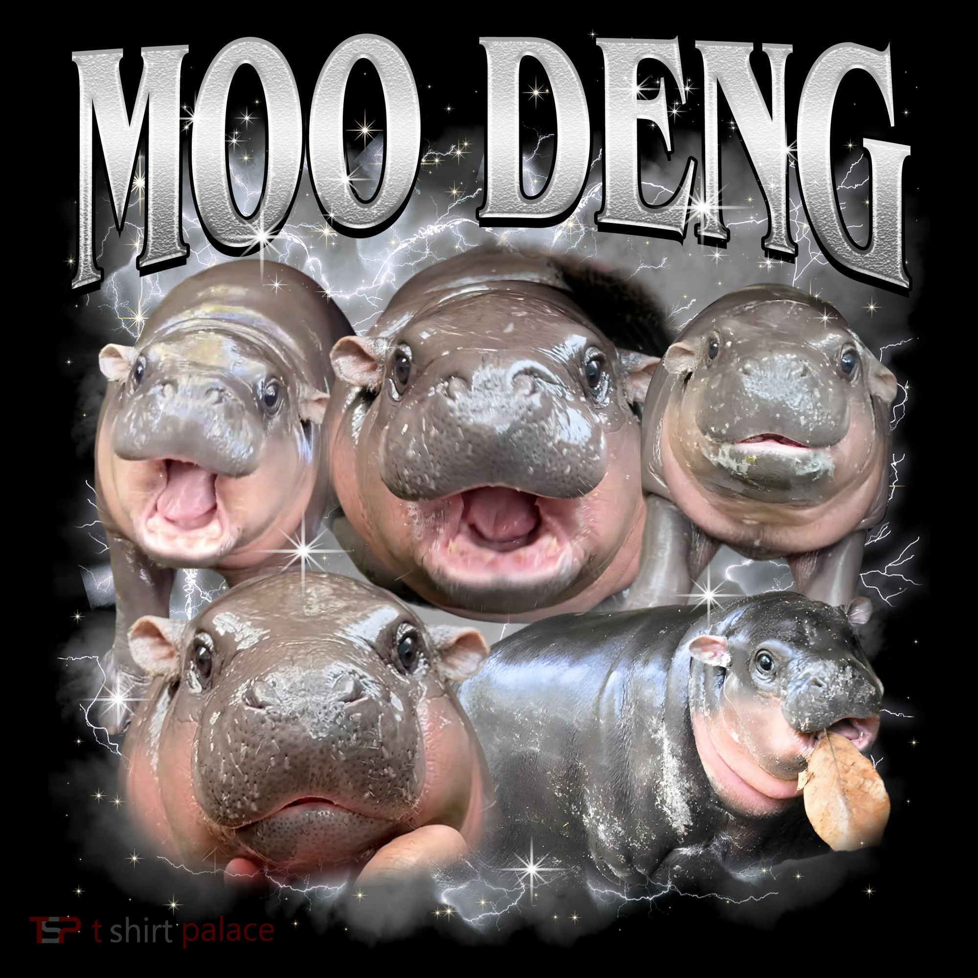 Moo Deng Cute Funny Hippo Women's T-Shirt
