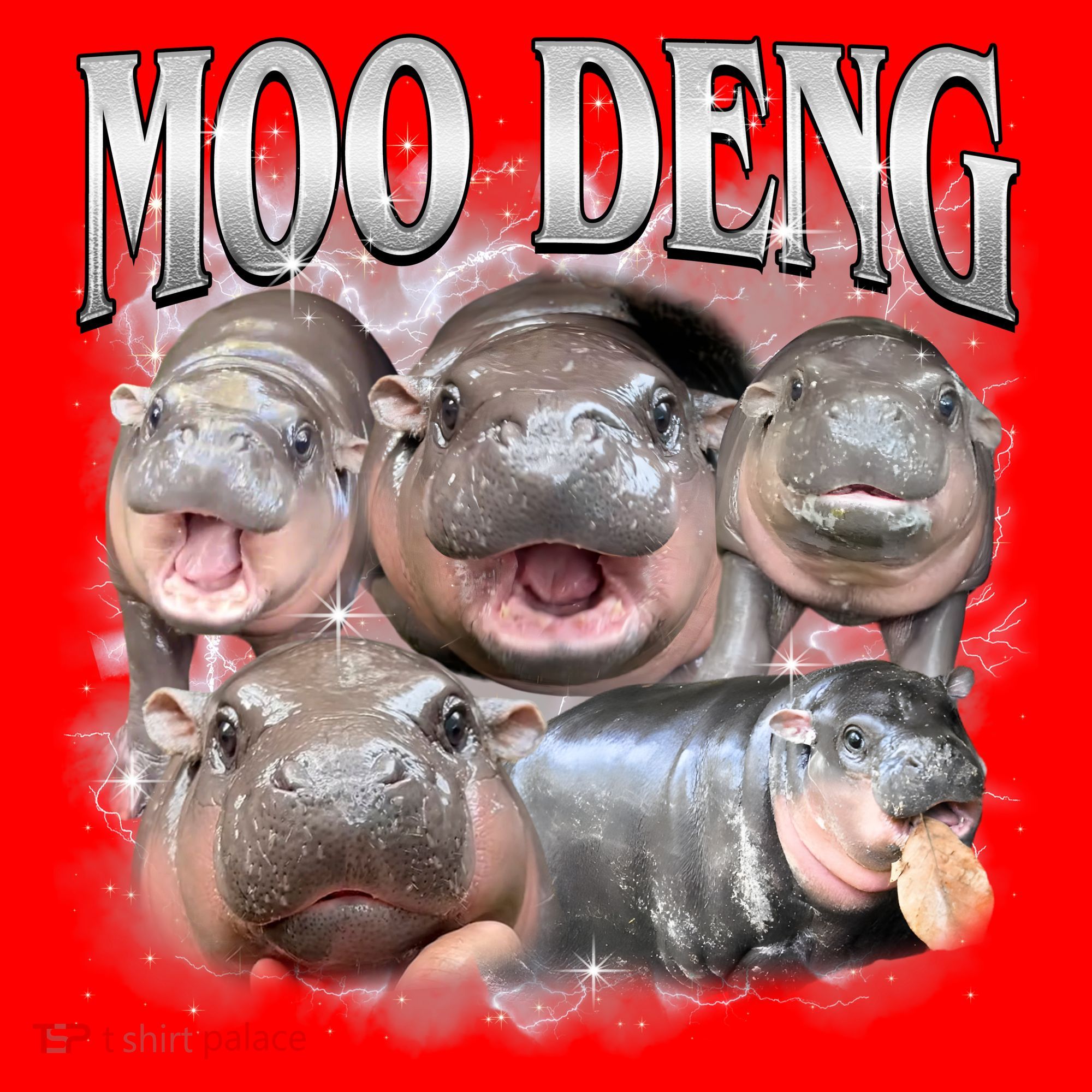 Moo Deng Cute Funny Hippo Santa Hat