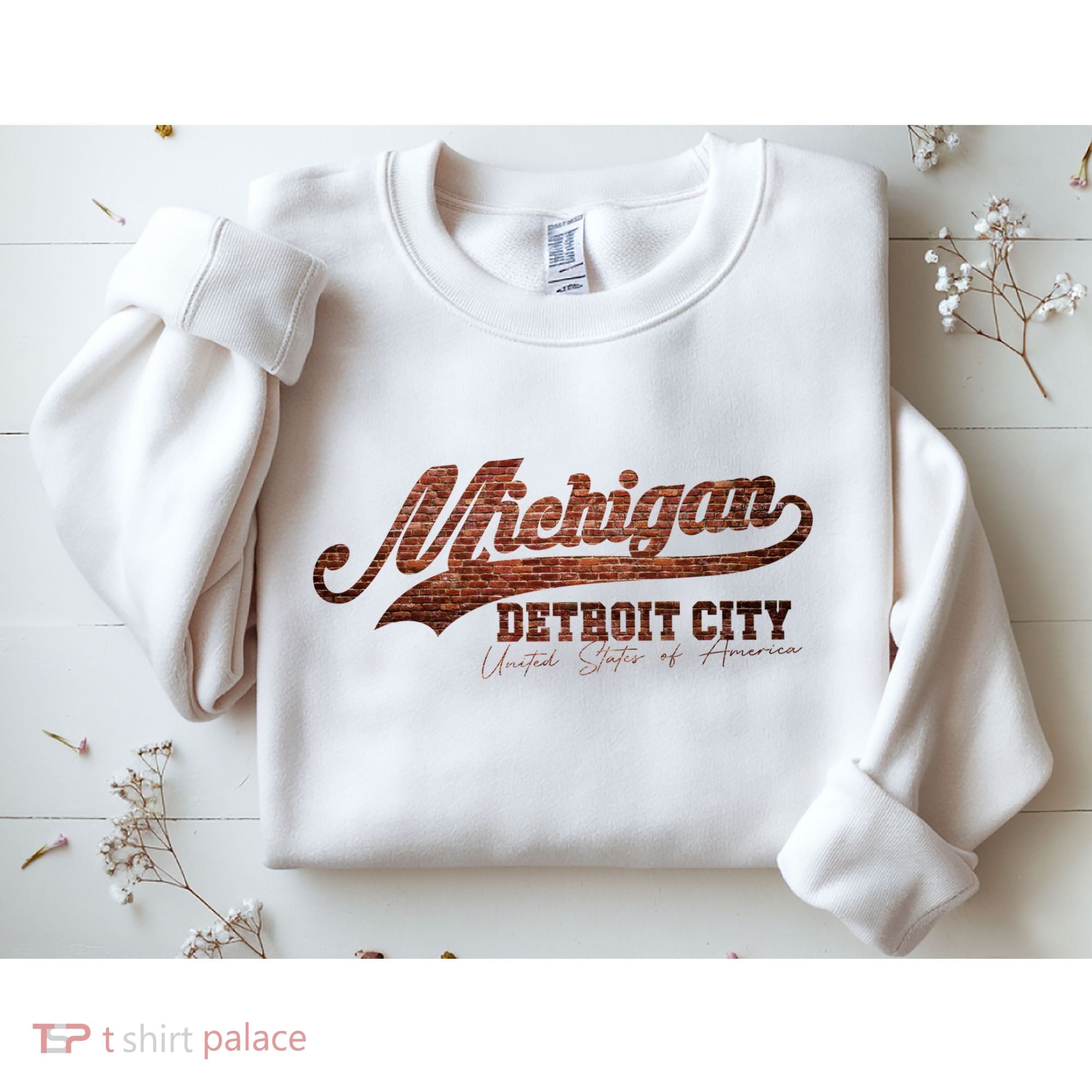 Michigan Detroit City Bricks Sweatshirt