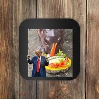 Moo Deng Endorsed Trump Hippo Predicting TrumpS Victory Coaster thumb 0