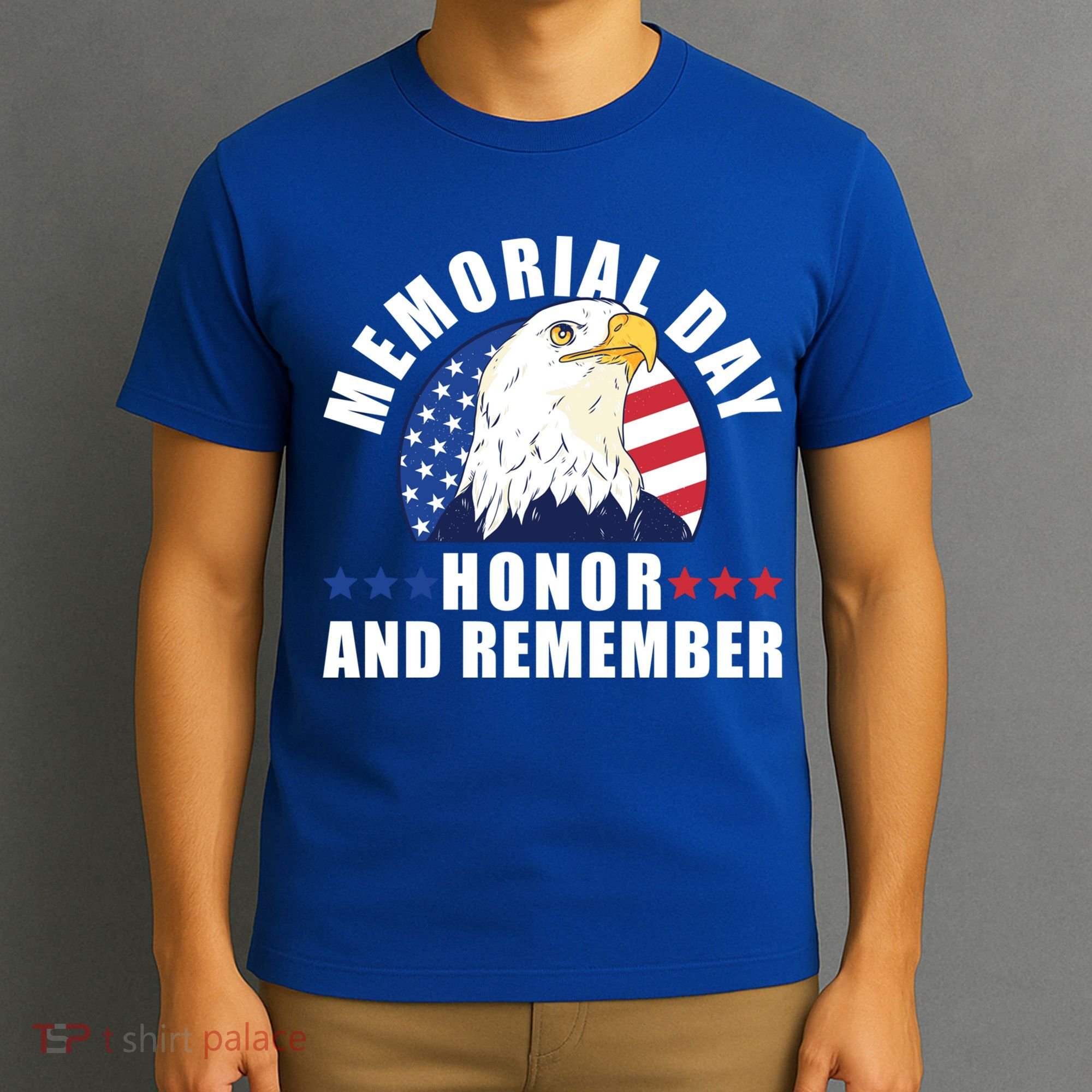 Memorial Day Honor And Remember Bald Eagle Patriotic Gift T-Shirt