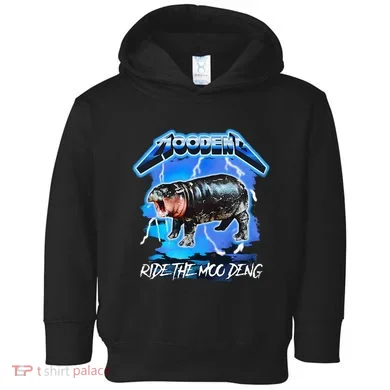 Toddler Hoodie