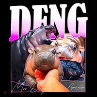 Moo Deng Hippo Baby Pygmy Funny Ornament thumb 1