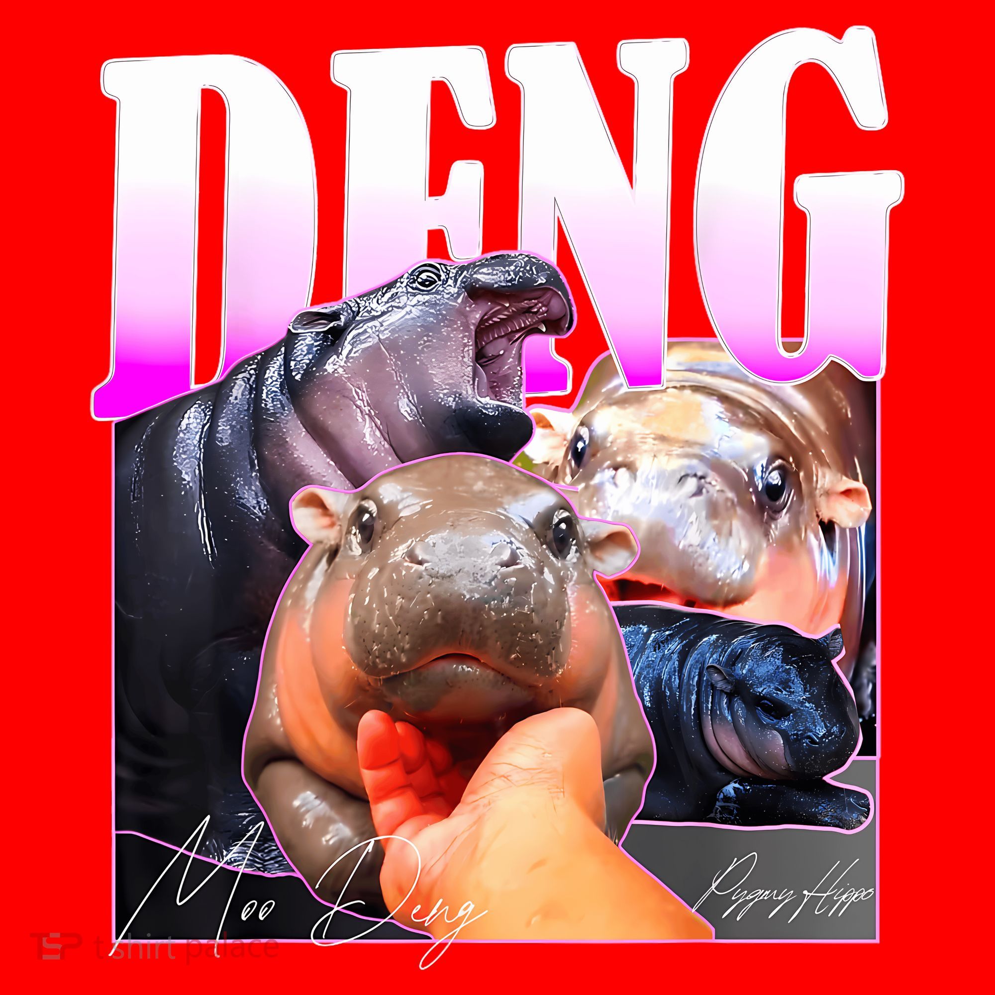 Moo Deng Hippo Baby Pygmy Funny Santa Hat