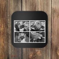 Moo Deng Hippo Photo Funny Pygmy Hippopotamus Coaster thumb 0