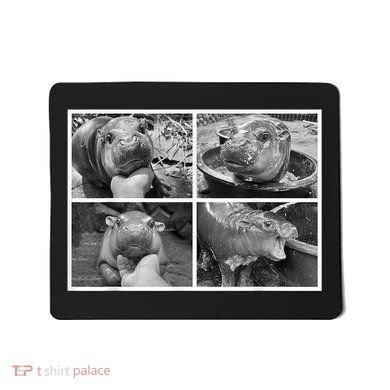Moo Deng Hippo Photo Funny Pygmy Hippopotamus Mousepad