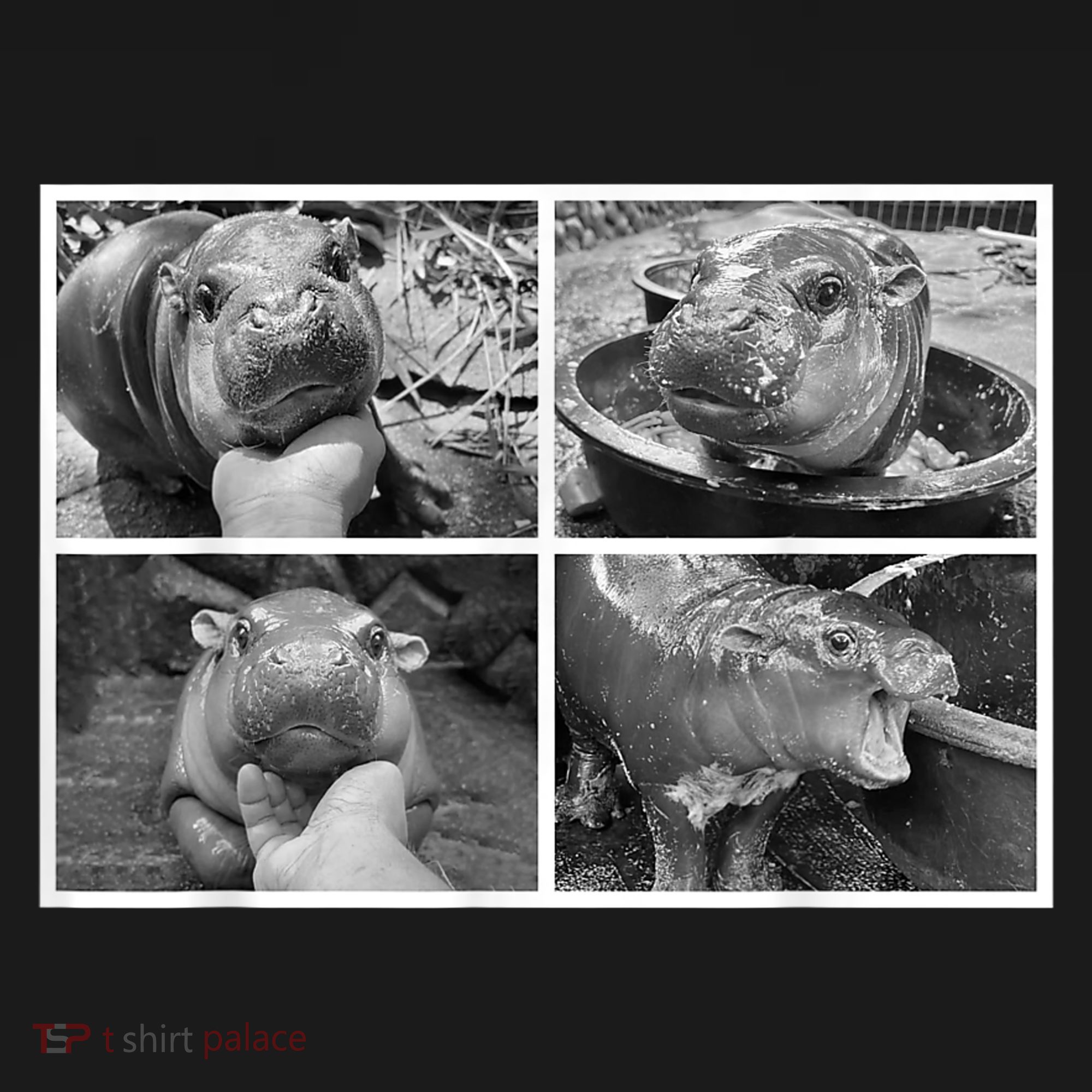 Moo Deng Hippo Photo Funny Pygmy Hippopotamus Ornament