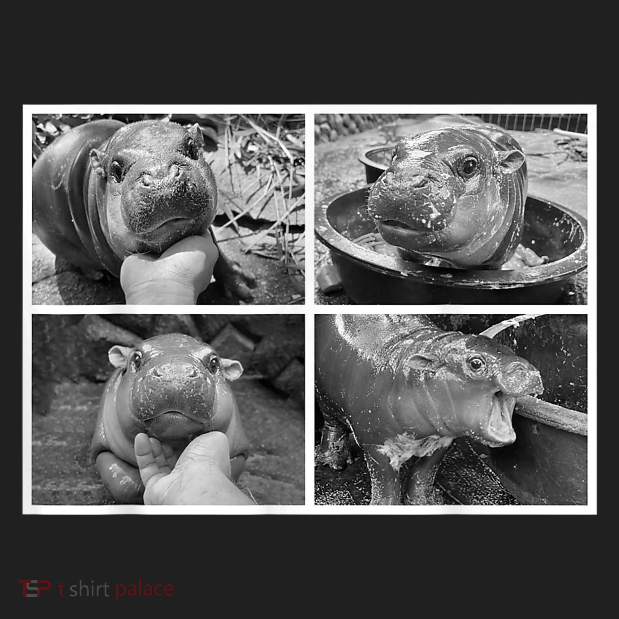 Moo Deng Hippo Photo Funny Pygmy Hippopotamus Hat