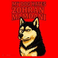 My Dog Hates Zohran Mamdani Santa Hat thumb 1