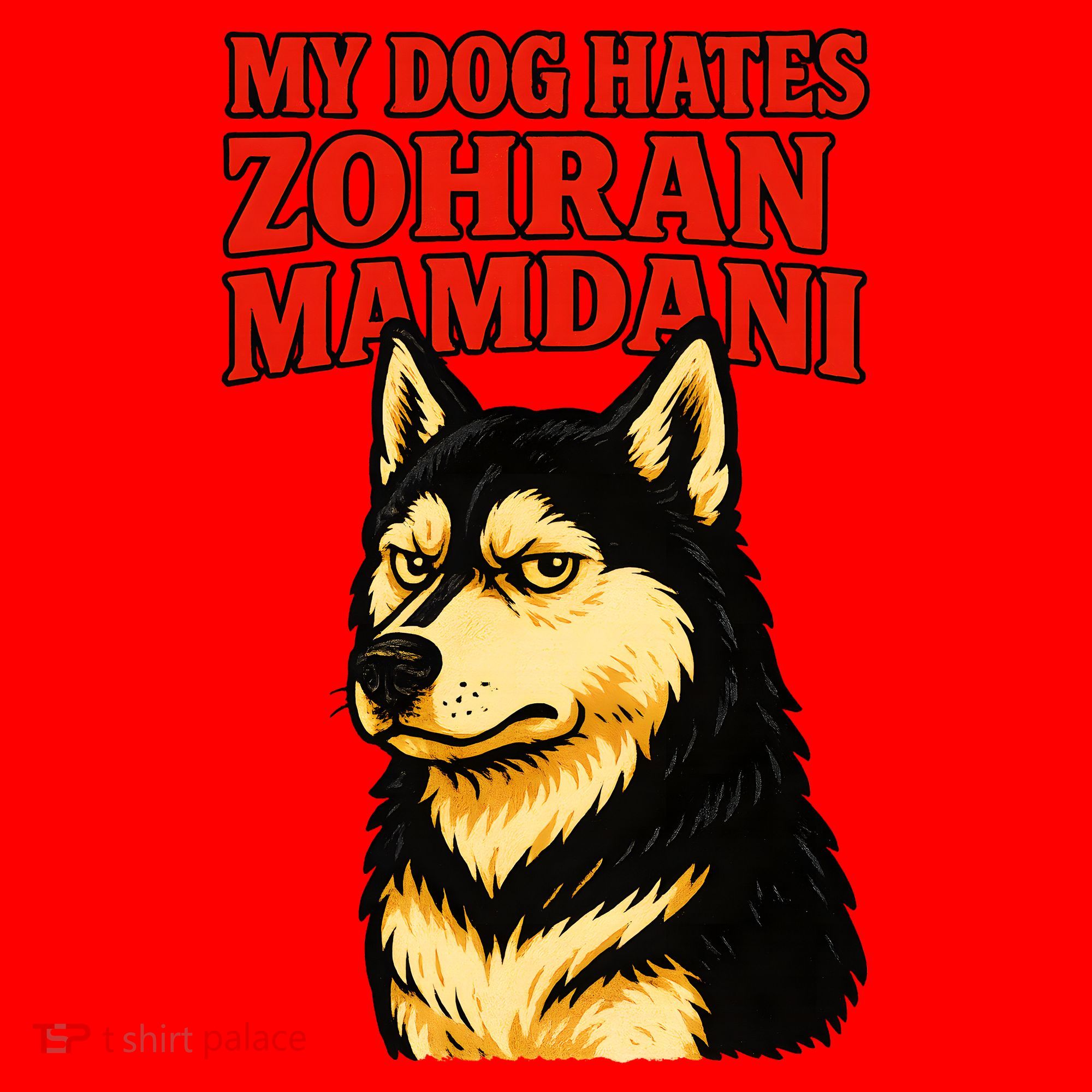 My Dog Hates Zohran Mamdani Santa Hat