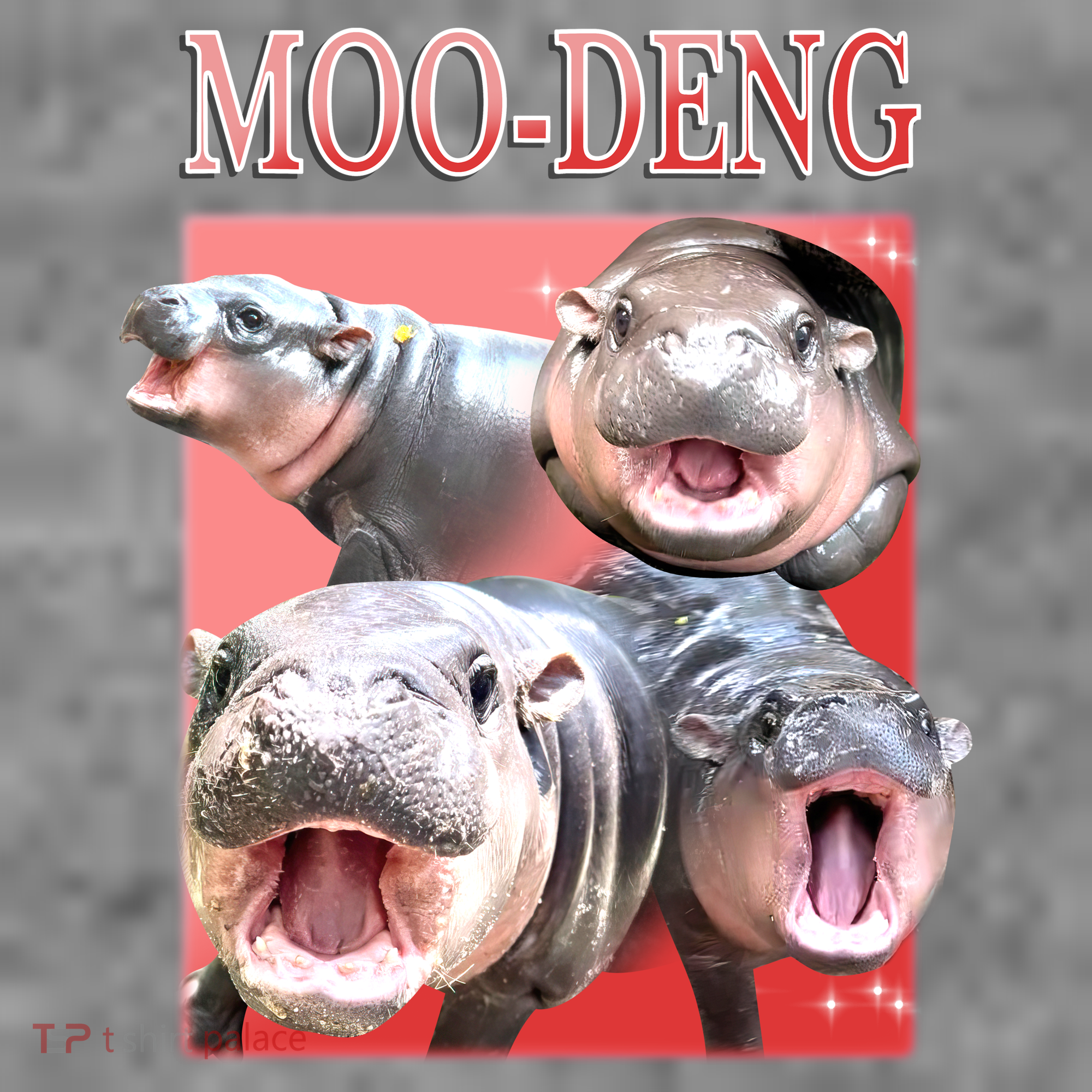 Moo Deng Hippo Meme Funny Hoodie