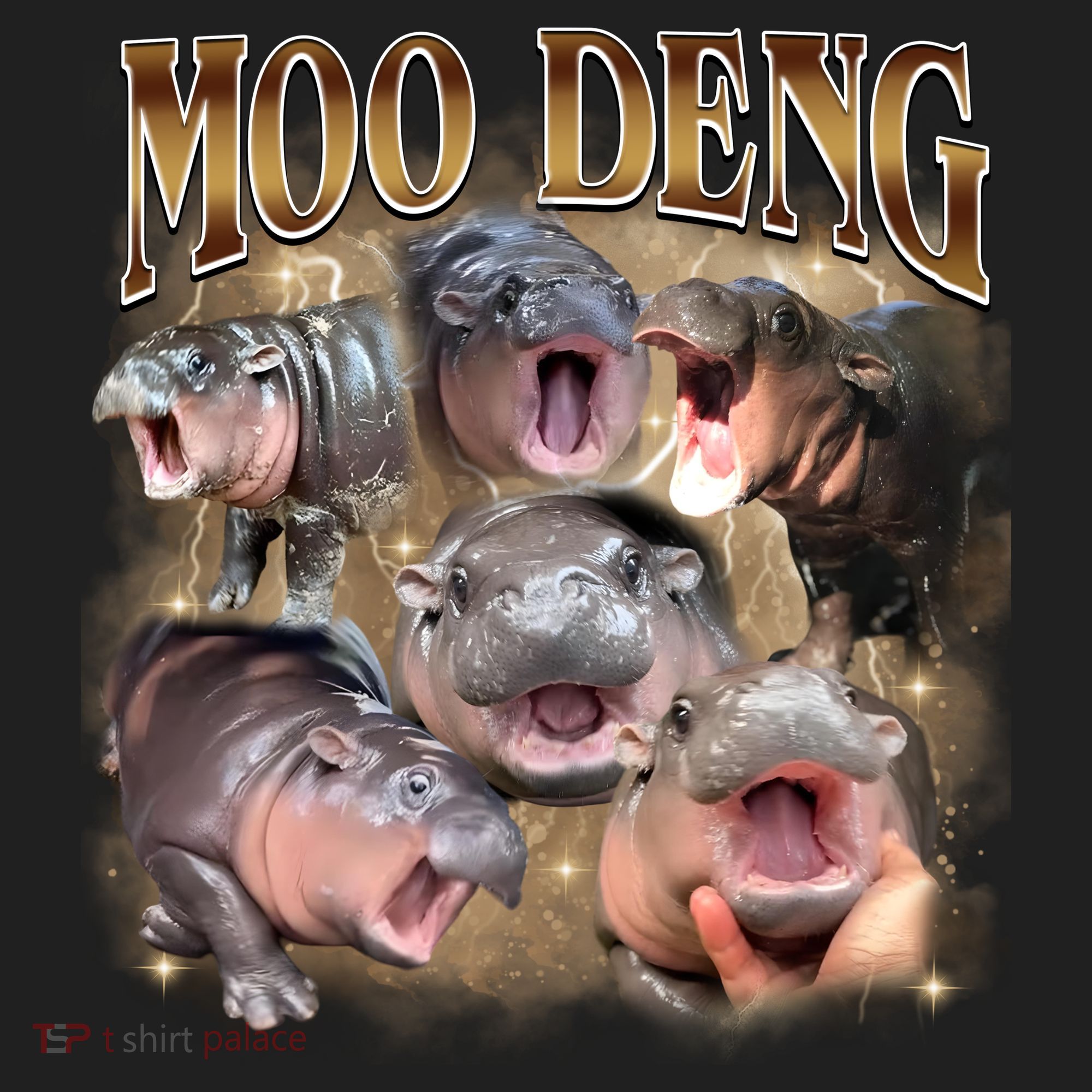 Moo Deng Hippo Meme Funny Animal Women's Sweatshirt