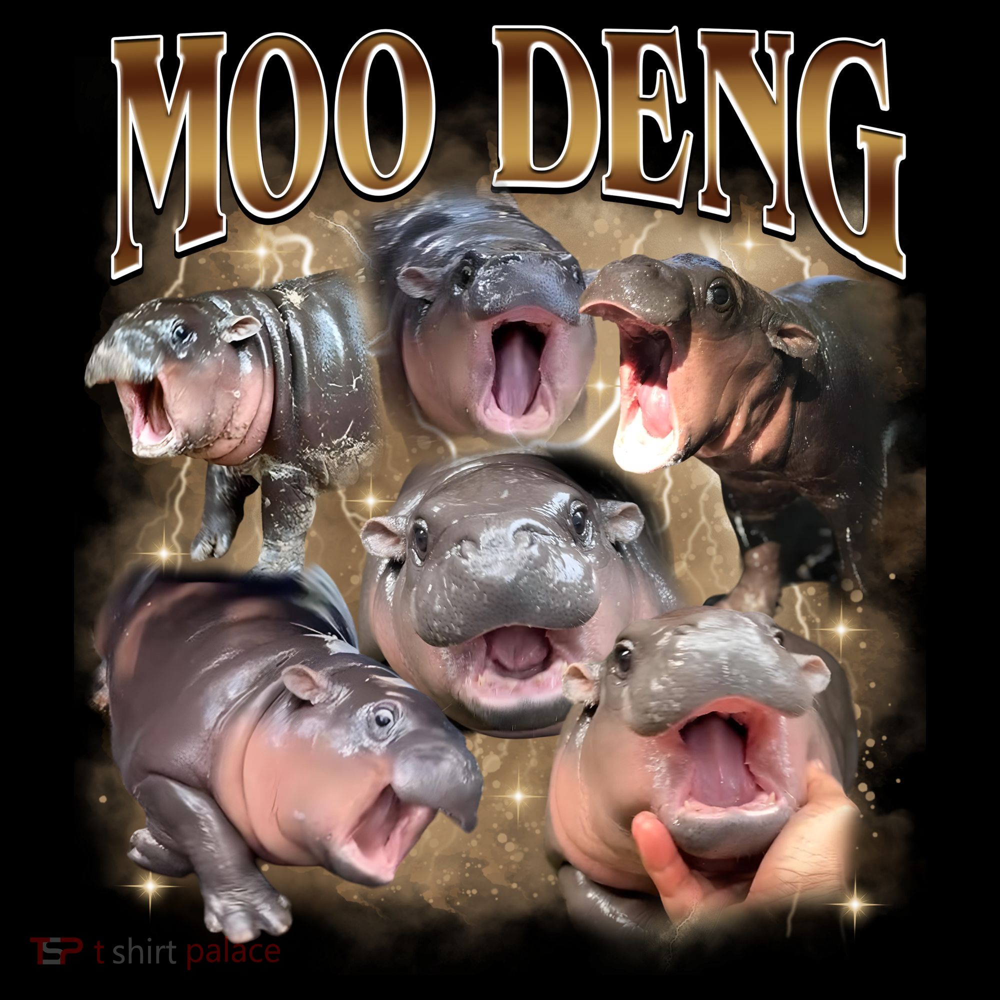 Moo Deng Hippo Meme Funny Animal Coaster