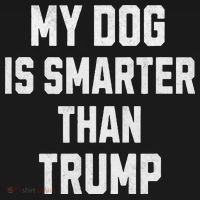 My Dog Is Smarter Than Trump Funny Harris Dog Lover Democrat Polo thumb 3