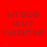 My Dog Is My Valentine Funny Cute Santa Hat thumb 1