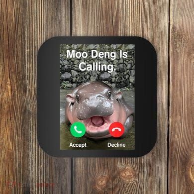 Moo Deng Is Calling Meme Funny Vintage Little Hippo Coaster