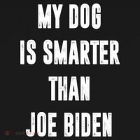 My Dog Is Smarter Than Joe Biden Funny Women's Hoodie thumb 2