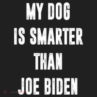 My Dog Is Smarter Than Joe Biden Funny Hat thumb 2