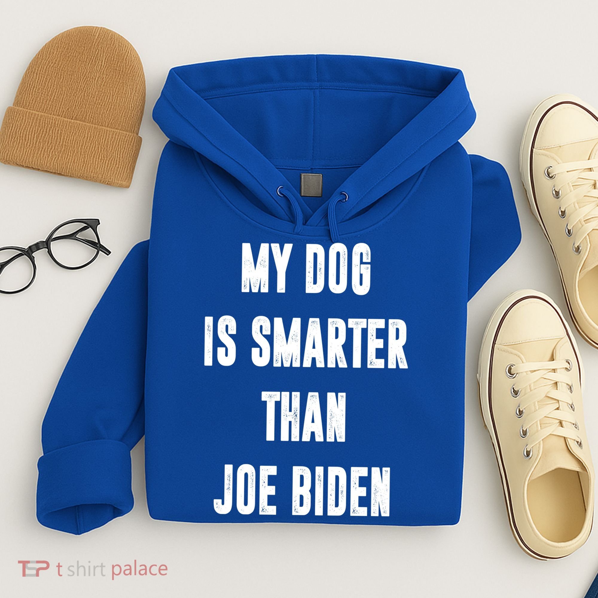 My Dog Is Smarter Than Joe Biden Funny Hoodie