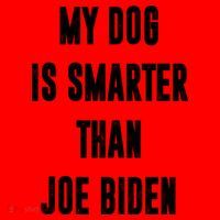 My Dog Is Smarter Than Joe Biden Funny Santa Hat thumb 1