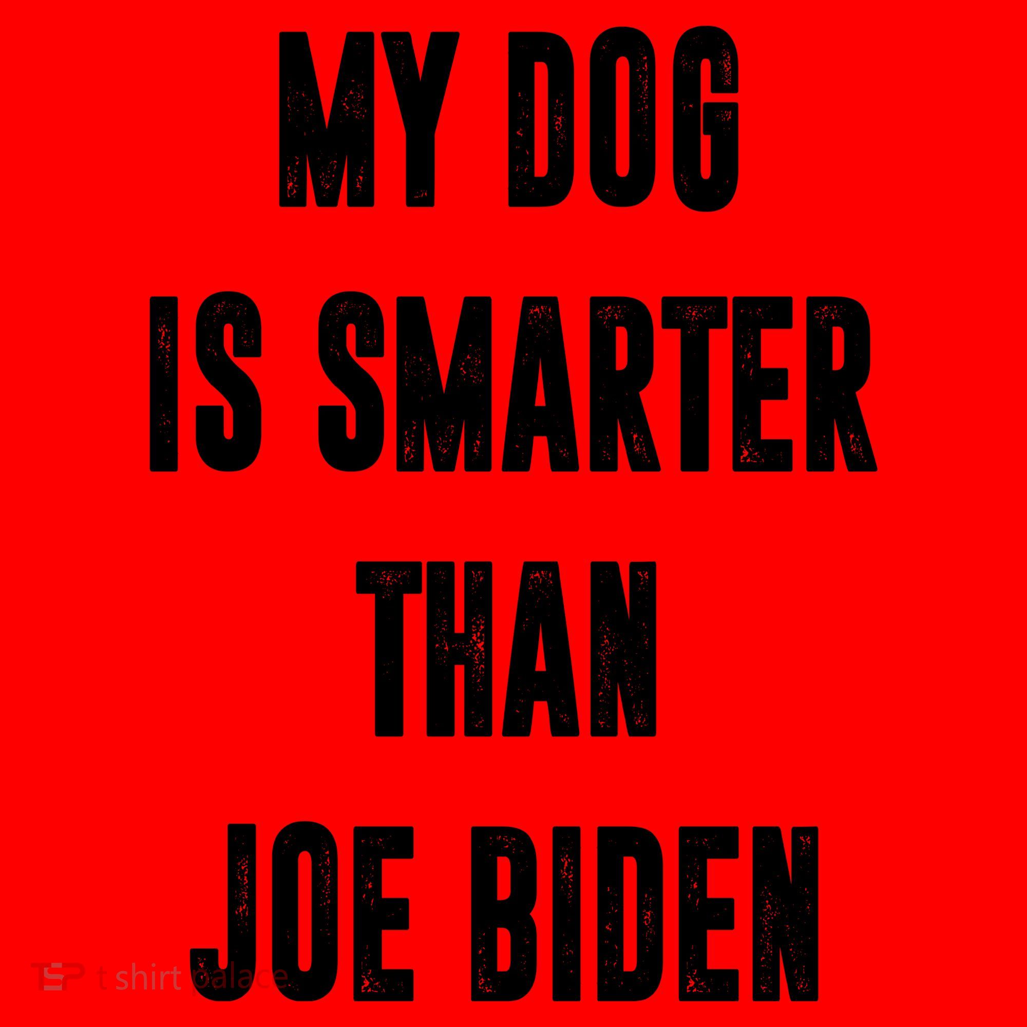 My Dog Is Smarter Than Joe Biden Funny Santa Hat