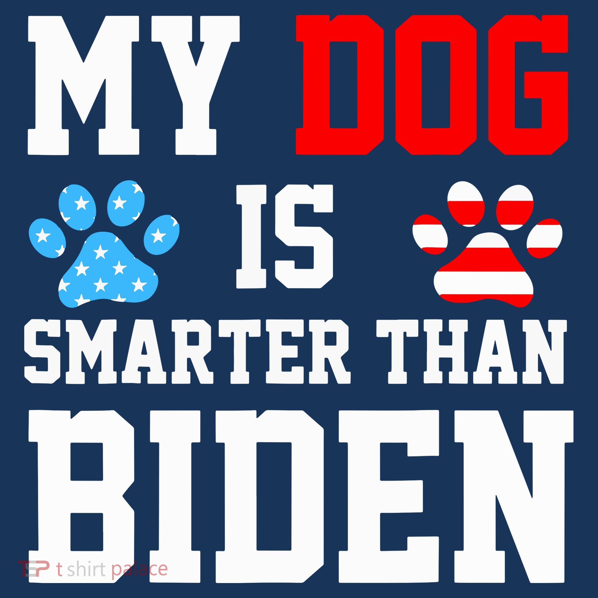 My Dog Is Smarter Than Biden Kids Hoodie