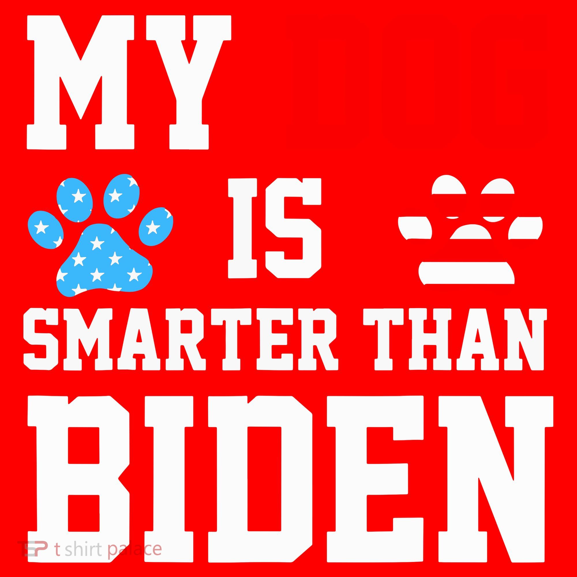 My Dog Is Smarter Than Biden Santa Hat