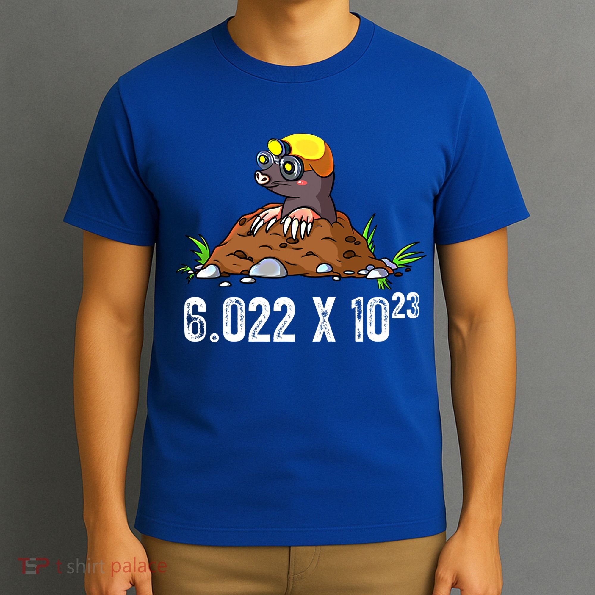 Mole Day Meaningful Gift Avogadros Number Funny Chemistry Mole Meaningful Gift T-Shirt
