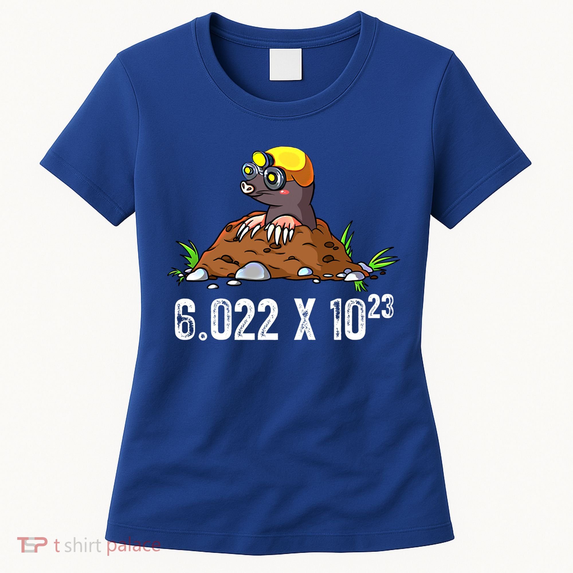 Mole Day Meaningful Gift Avogadros Number Funny Chemistry Mole Meaningful Gift Women's T-Shirt