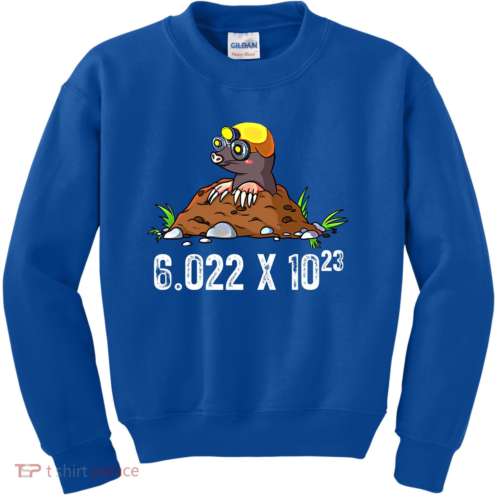 Mole Day Meaningful Gift Avogadros Number Funny Chemistry Mole Meaningful Gift Kids Sweatshirt