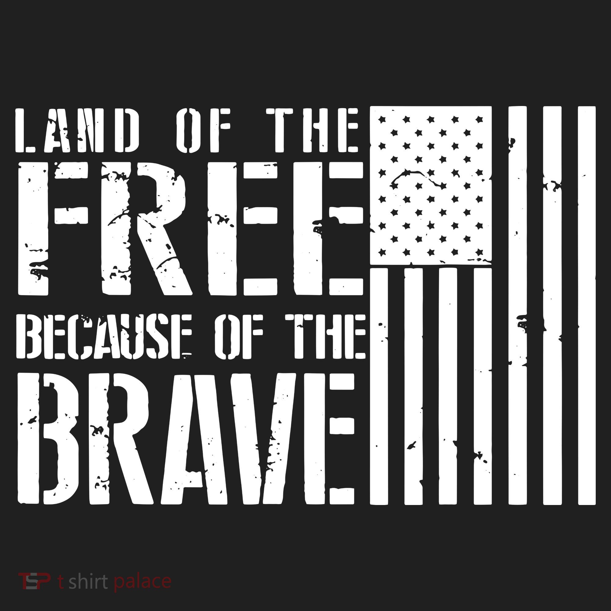 Memorial Day Tumbler