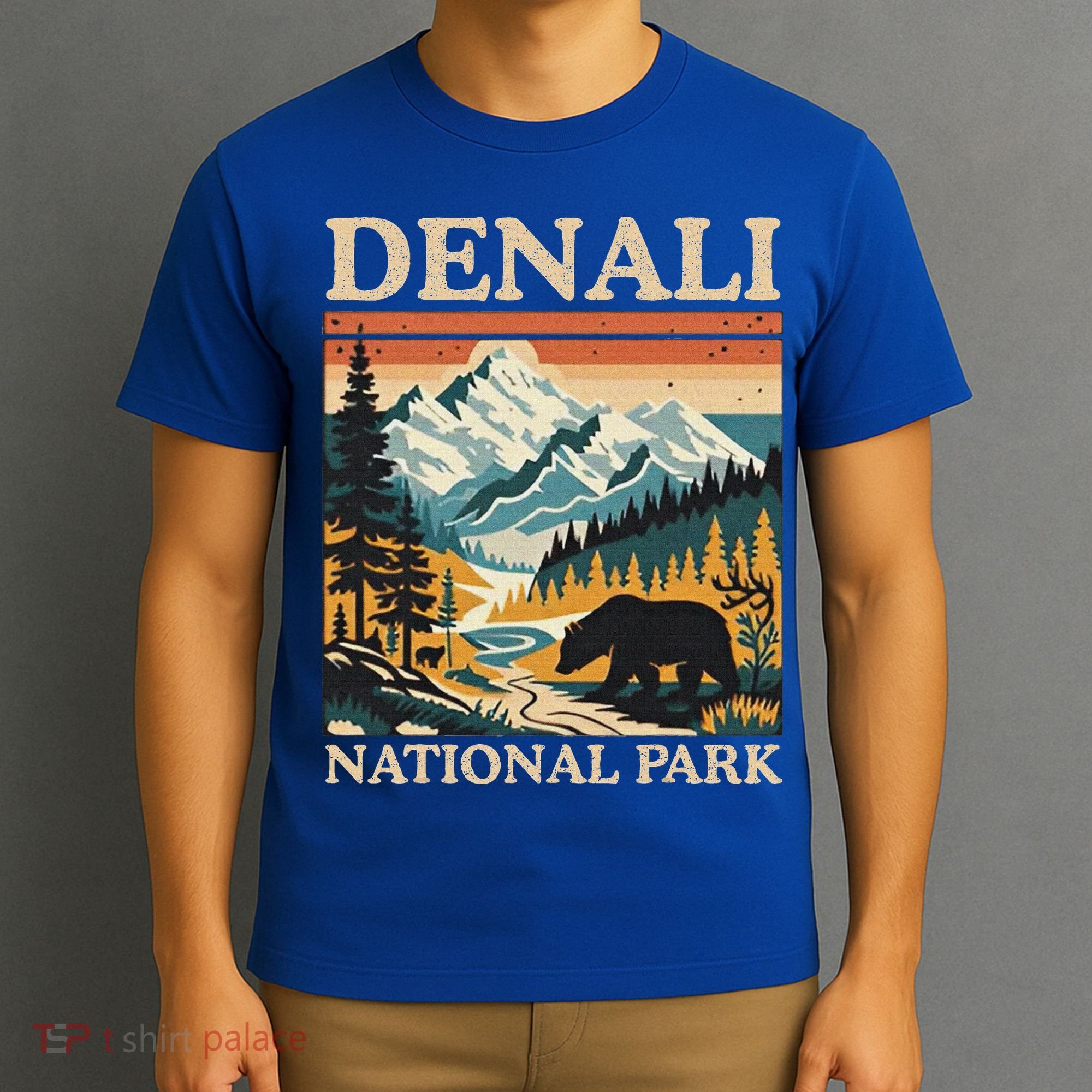 Mount Denali National Park T-Shirt