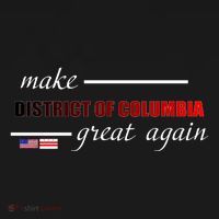 Make District Of Columbia Great Again Backpack thumb 2