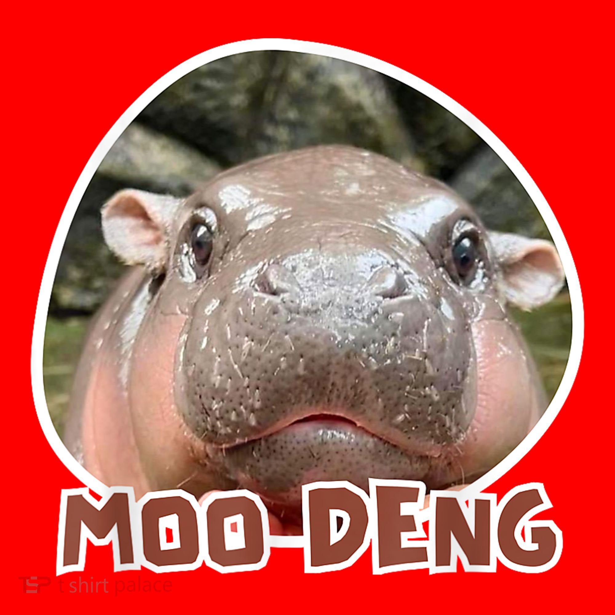 Moo Deng Pygmy Hippopotamus Funny Meme Santa Hat