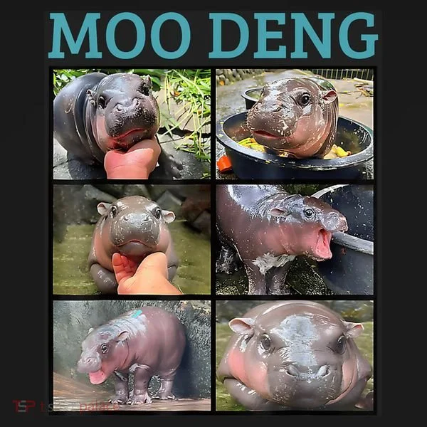 Moo Deng Picture Meme Funny Hippo Ornament