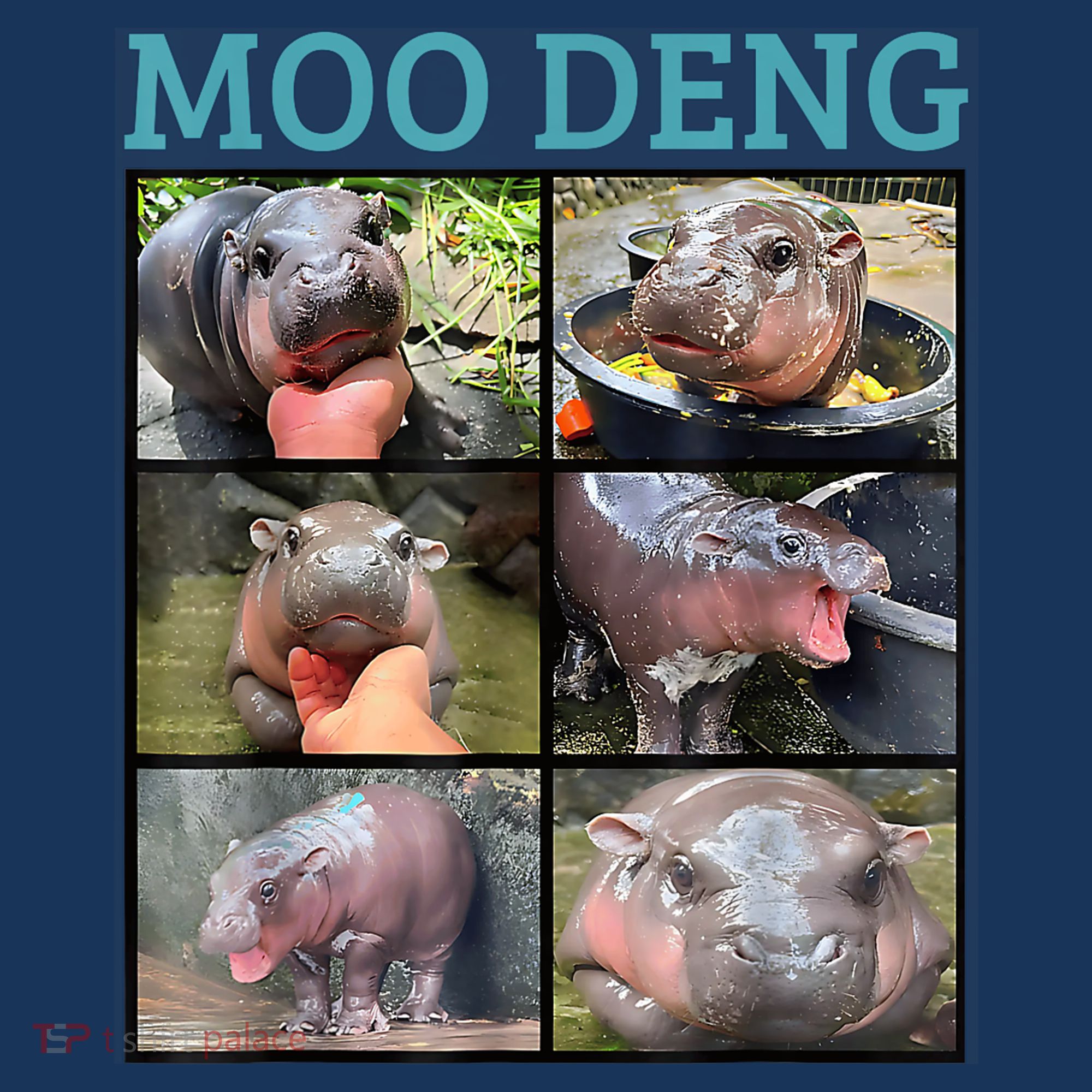 Moo Deng Picture Meme Funny Hippo Sweatshirt